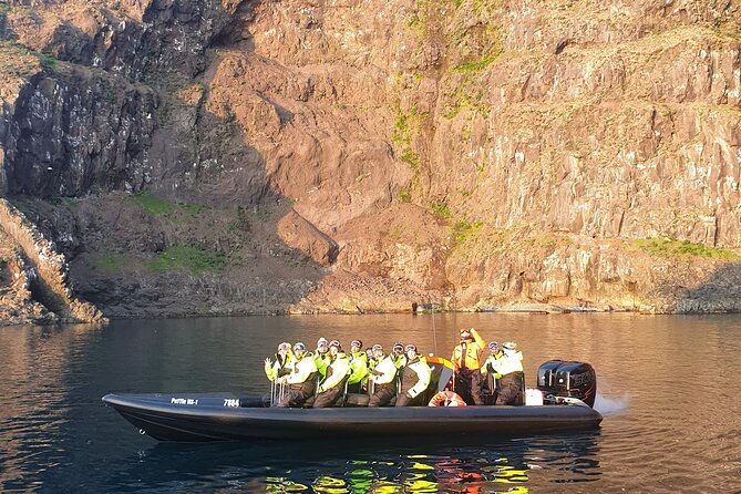 1 Hour Iceland Nature and Wildlife RIB Small Group Guided Safari - Meeting the RIB at Hafnarhólmi