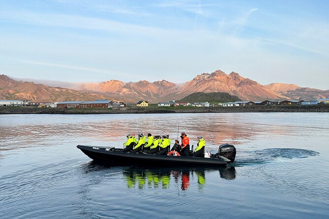 1 Hour Iceland Nature and Wildlife RIB Small Group Guided Safari - Local guides and a personal feel