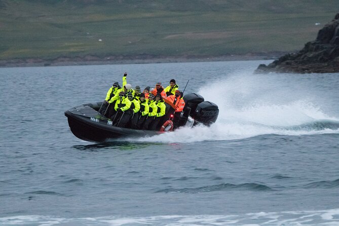 1 Hour Iceland Nature and Wildlife RIB Small Group Guided Safari - Is $160 good value for one hour?