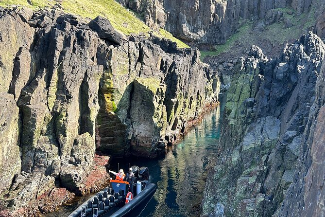 1 Hour Iceland Nature and Wildlife RIB Small Group Guided Safari - Speed, spray, and the first coastal views