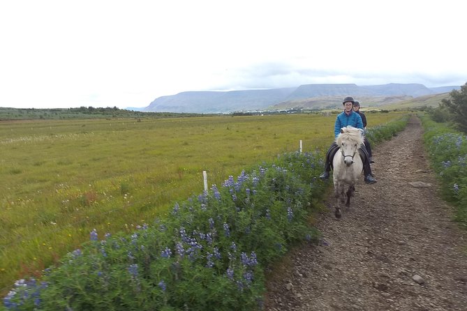 1+ hour Private Horse riding tour from Reykjavík/Mosfellsbær - Riding Toward Mt. Úlfarsfell
