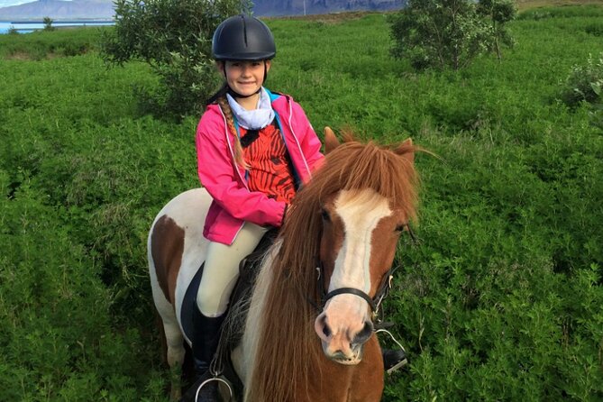 1+ hour Private Horse riding tour from Reykjavík/Mosfellsbær - Weather, Comfort, and Winter Riding