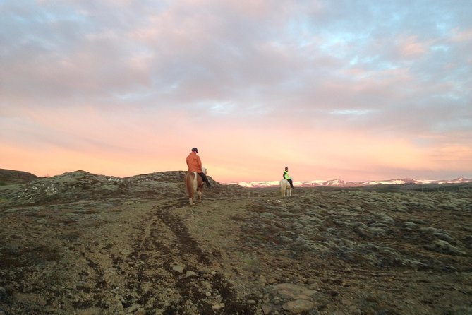 1+ hour Private Horse riding tour from Reykjavík/Mosfellsbær - Who Will Enjoy This Ride Most?