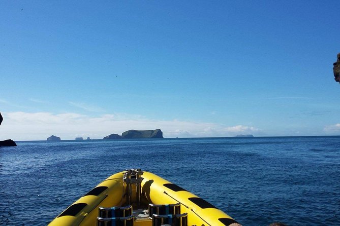 1-Hour Small Group Sightseeing Boat Tour in Vestmannaeyjar - Puffins, seabirds, and the limits of wildlife viewing