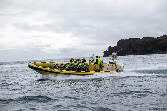 1-Hour Small Group Sightseeing Boat Tour in Vestmannaeyjar - Is $169.31 a fair price?