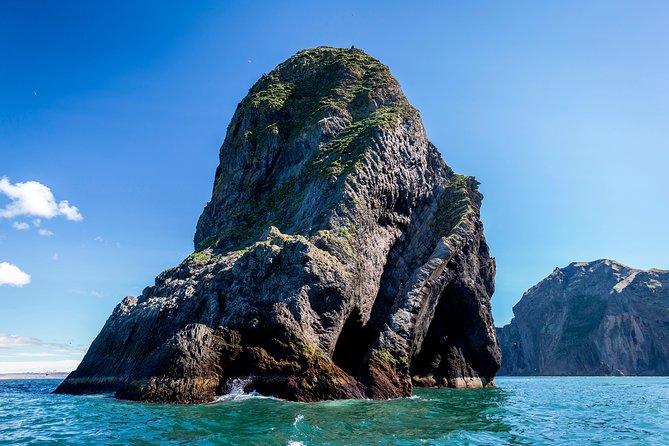1-Hour Small Group Sightseeing Boat Tour in Vestmannaeyjar - Who should book this RIB tour?