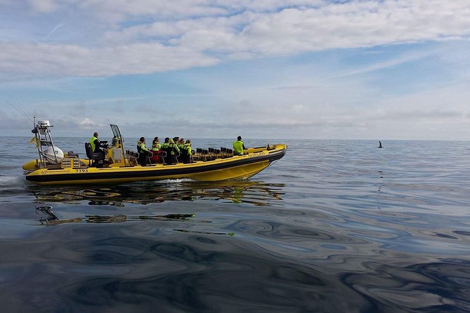 1-Hour Small Group Sightseeing Boat Tour in Vestmannaeyjar - Getting suited up for the sea