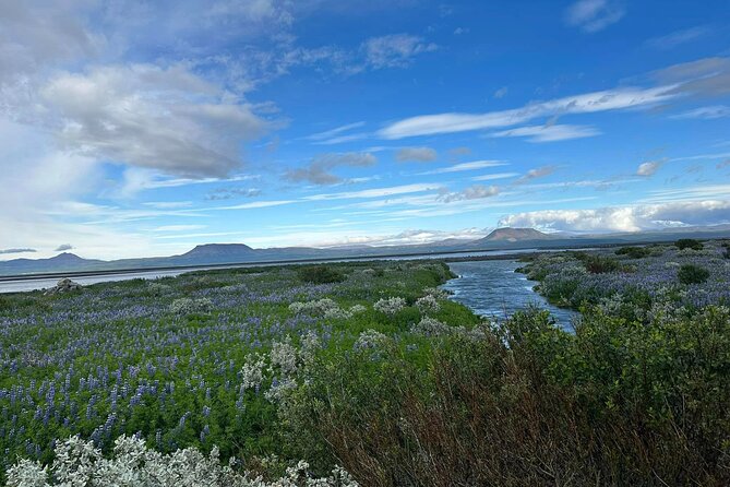 1 hrs ATV quad trip down with glacier river Northeast of Iceland - Is $174.53 a fair price for one hour?