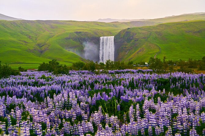 10 hours Private South Coast Guided Tour - Seljalandsfoss lets you see a waterfall from behind