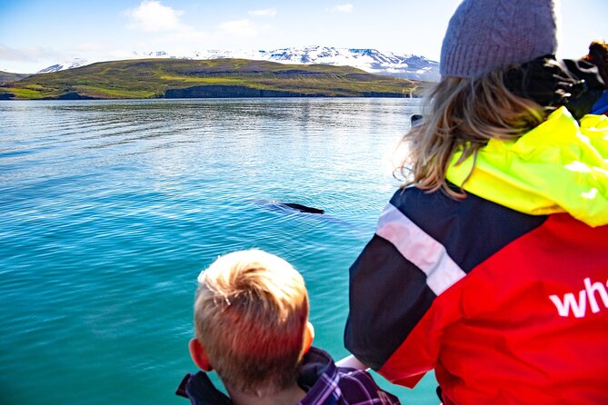 100% Whale Watching - Key points to know before sailing