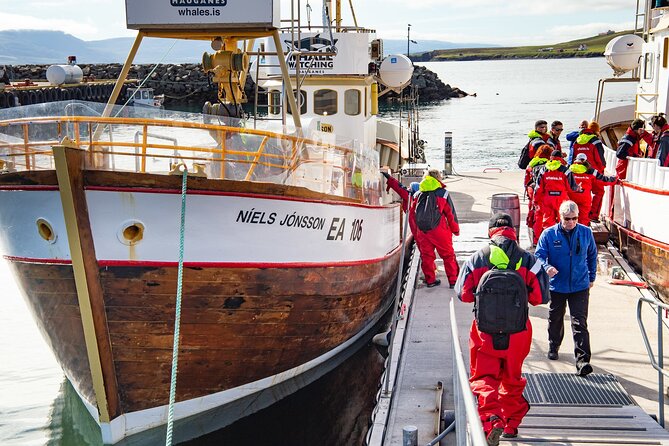 100% Whale Watching - Why Hauganes is a good place to watch whales
