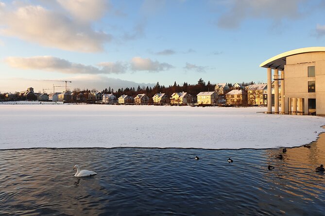 2-Hour Reykjavik Private Walking Tour - City Hall and Lake Tjörnin