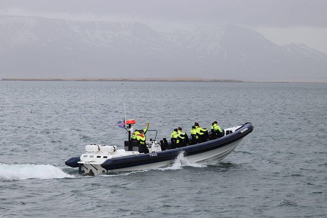 2-Hour RIB Boat Whale Watching Tour from Reykjavik - Key points to know before booking