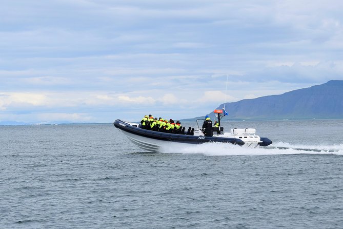 2-Hour RIB Boat Whale Watching Tour from Reykjavik - Rough water, safety, and physical demands