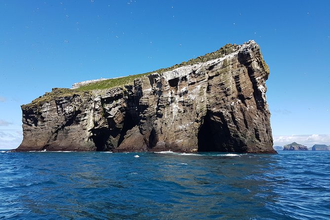 2 hour Round Trip in Vestmannaeyjar on a RIB Boat - Warm suits, wind, and the physical side