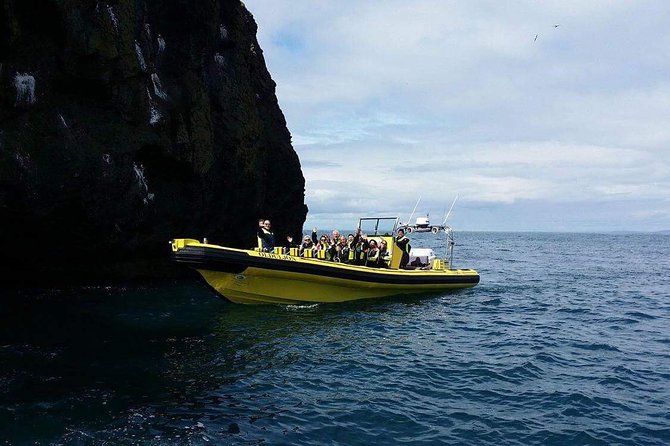 2 hour Round Trip in Vestmannaeyjar on a RIB Boat - Is $247.39 a fair price?