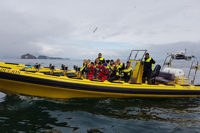 2 hour Round Trip in Vestmannaeyjar on a RIB Boat - Who will enjoy this most?