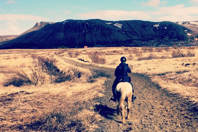 2 hours Private Horse Riding to Lake Hafravatn, Reykjavík - Mos - Key points to know before you book