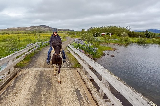 2 hours Private Horse Riding to Lake Hafravatn, Reykjavík - Mos - Riding toward Lake Hafravatn