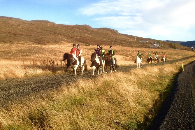 2 hours Private Horse Riding to Lake Hafravatn, Reykjavík - Mos - Clothing, shoes, and practical comfort