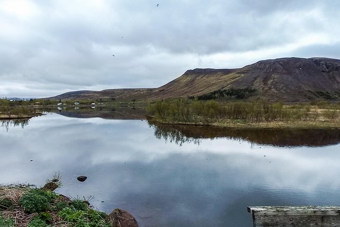 2 hours Private Horse Riding to Lake Hafravatn, Reykjavík - Mos - Learning the basics in a private setting