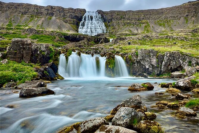 3,5-Hour Sightseeing Tour To Dynjandi Waterfall - The guides make the long drive worthwhile
