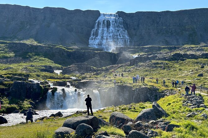 3,5-Hour Sightseeing Tour To Dynjandi Waterfall - Is $84.65 a good price?