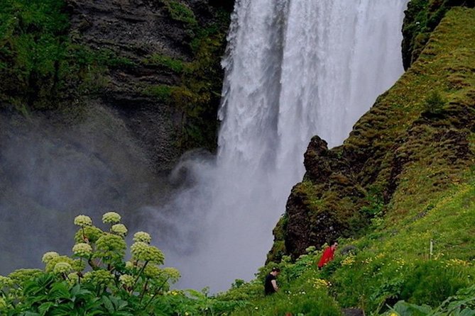3 Day South Iceland - PRIVATE TOUR (Golden Circle & South Coast) - Day 3: Svartifoss and Iceland’s glacier country