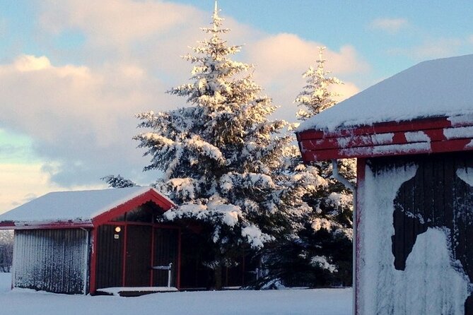 5-Days Land of Northern Lights Tour from Reykjavík - Day three: volcano country, waterfalls, and the south coast
