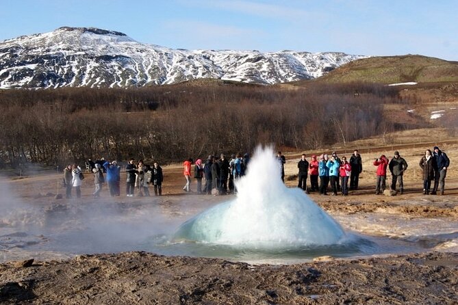 5-Days Land of Northern Lights Tour from Reykjavík - Reynisfjara and Vík: beautiful, black, and exposed