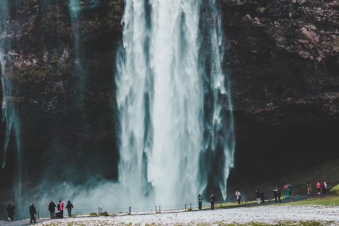 6-Day Minibus Tour Around Iceland from Reykjavik - Day 6: Whale watching from Hauganes