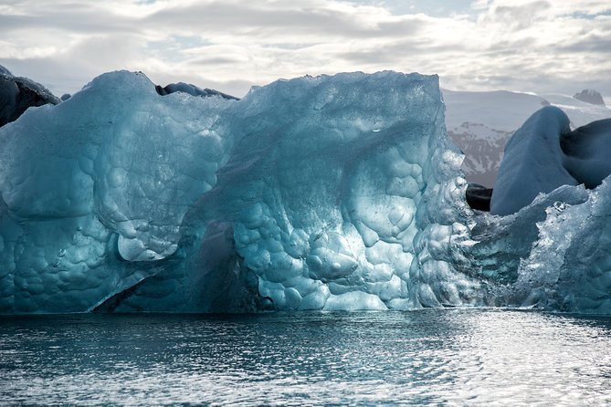 6-Day Summer Ring Route of Iceland Small-Group Tour - Day 6: Akureyri and whales from Hauganes