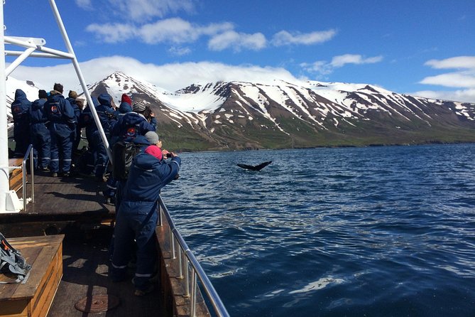 7-Day Complete Iceland: South Coast, Golden Circle, Akureyri & Snaefellsnes - Day 3: East Fjords and a night in the wilderness