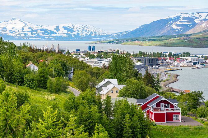 7-Day Small Group Journey Around Iceland - The Eastfjords reward patience