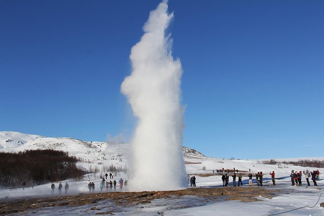 8-Day Small Group Tour Around Iceland from Reykjavik - Day 6: Hauganes whales and the road west