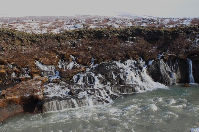 8 Day Winter Circle Tour, Ring Route of Iceland with Snæfellsnes Peninsula - Day 6: Akureyri, Hauganes, and whales