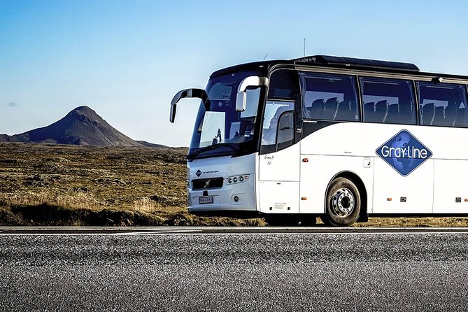 Airport Express Shared Arrival Transfer from Keflavik Airport to Reykjavik Hotels - How the price compares with the convenience