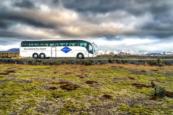 Airport Express Shared Departure Transfer from Reykjavik Hotels to Keflavik Airport - The 45-minute coach ride to Keflavik