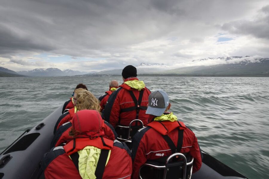 Akureyri: 2-Hour Whale Watching Express by RIB Speedboat - The guides make the difference