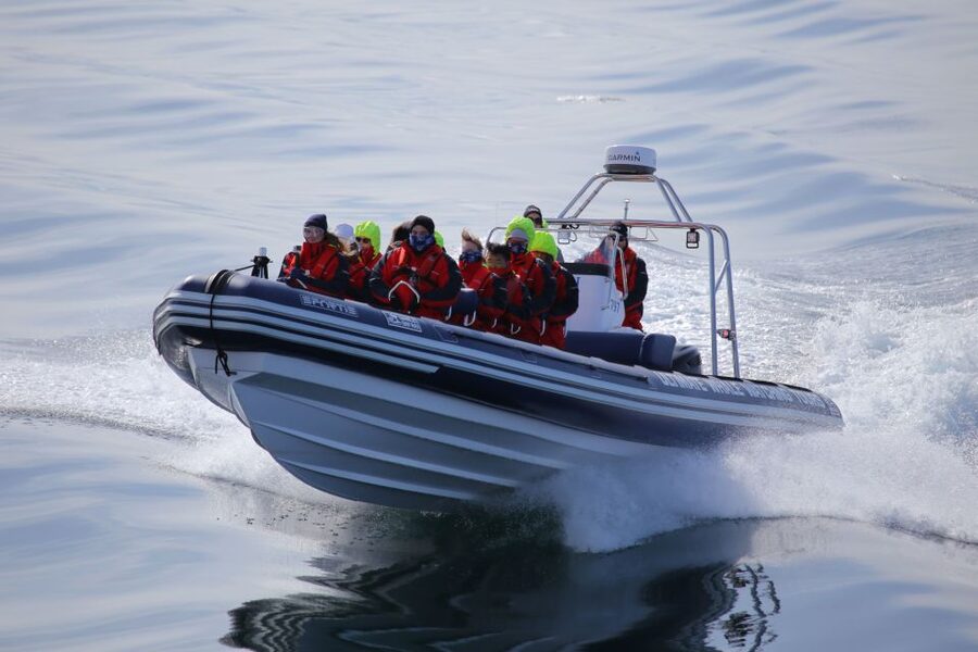 Akureyri: 2-Hour Whale Watching Express by RIB Speedboat - Who should choose this tour?