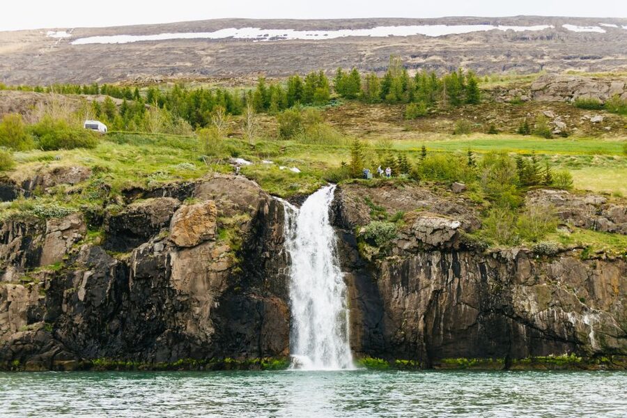 Akureyri: 3-Hour Classic Whale Watching Tour by Ship - Searching Eyjafjord for Humpback Whales