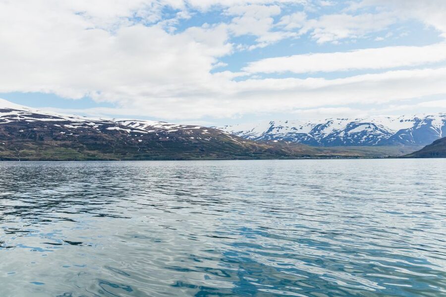 Akureyri: 3-Hour Classic Whale Watching Tour by Ship - Guides Who Add More Than Whale Names