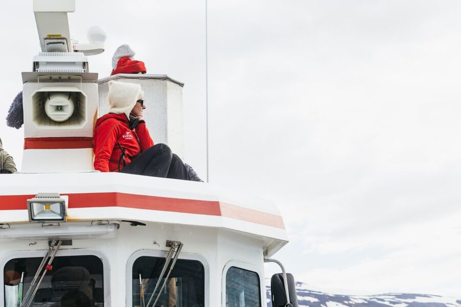 Akureyri: 3-Hour Classic Whale Watching Tour by Ship - What Else You Might See Beyond Humpbacks