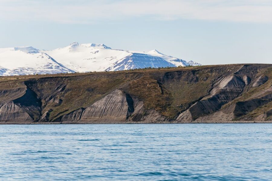 Akureyri: 3-Hour Classic Whale Watching Tour by Ship - Winter or Summer: Choosing Your Sailing Season