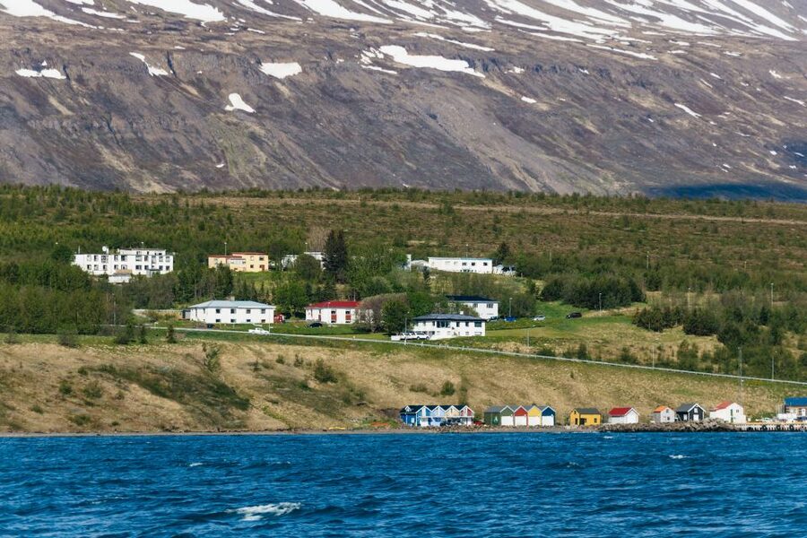 Akureyri: 3-Hour Classic Whale Watching Tour by Ship - Is $108 Fair Value?