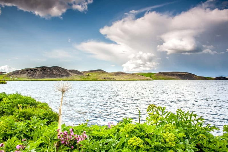 Akureyri Port: Lake Mývatn & Goðafoss Guided Tour with Lunch - Goðafoss: a powerful opening stop