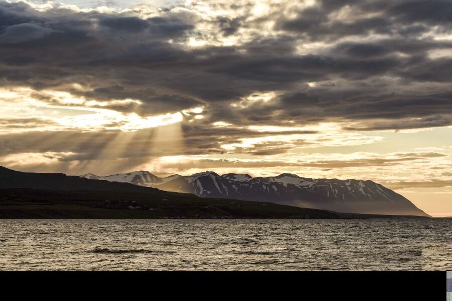 Akureyri: Whale Watching in the Midnight Sun - Inside the boat: warmth, windows, and a cafeteria