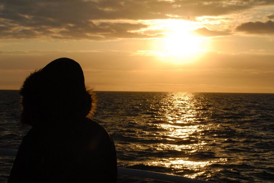 Akureyri: Whale Watching in the Midnight Sun - The guide, the crew, and the whale diary