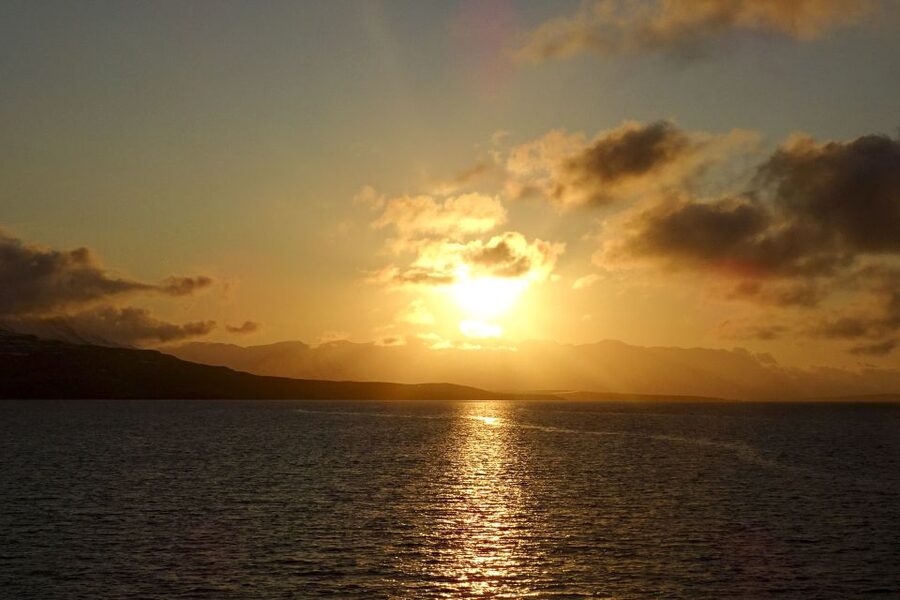 Akureyri: Whale Watching in the Midnight Sun - Who will enjoy this experience most?