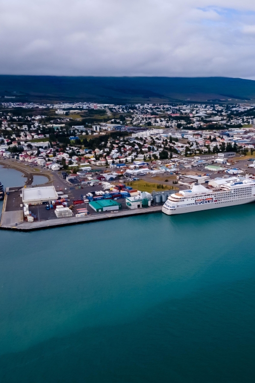 Akureyri: Whale Watching Shore Excursions - The viewing experience and the boat’s pace